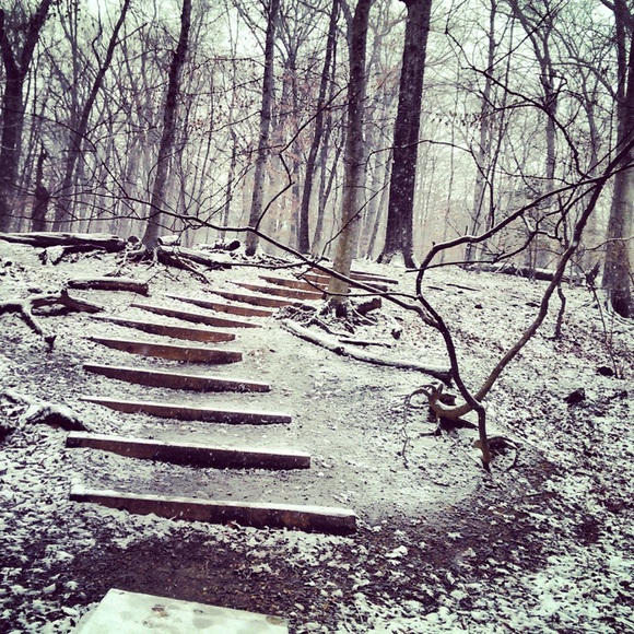 Meet your Posher, Susan - Picture 2 of 4